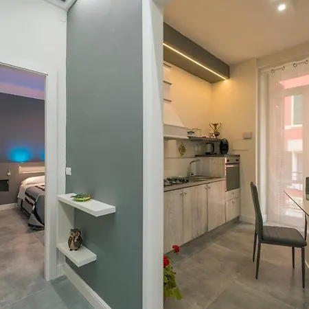 Apartment Grey House